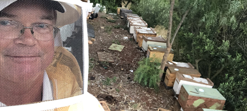 About Us Our Bee Homes 